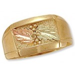 Men's Ring - by Landstrom's